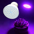 LED Lamp for Vegetables Hydroponic System