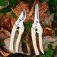 Flower Bonsai Pruner Gardening Secateurs Scissor