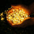 Solar Lamp Power LED String Fairy Lights