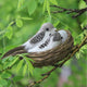 Artificial Birds & Nest & Egg