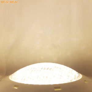 Swimming Pool Led Light Waterproof
