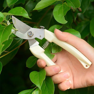 Flower Bonsai Pruner Gardening Secateurs Scissor