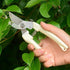 Flower Bonsai Pruner Gardening Secateurs Scissor