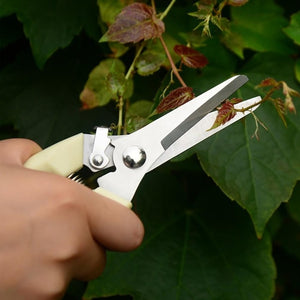 Flower Bonsai Pruner Gardening Secateurs Scissor