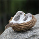 Artificial Birds & Nest & Egg