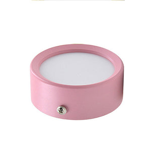 Ceiling Light Surface Mounted Ceiling Lamp