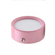 Ceiling Light Surface Mounted Ceiling Lamp