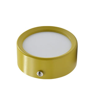 Ceiling Light Surface Mounted Ceiling Lamp