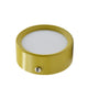 Ceiling Light Surface Mounted Ceiling Lamp