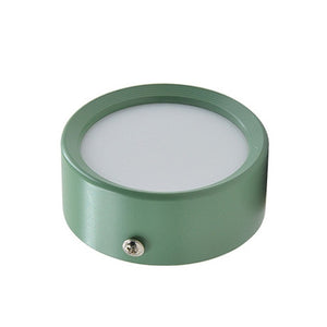 Ceiling Light Surface Mounted Ceiling Lamp