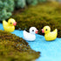 Duck Ornaments Flower Pots Plants