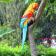 Garden Decoration Simulation Parrot Miniature Sculpture