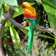 Garden Decoration Simulation Parrot Miniature Sculpture