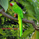 Garden Decoration Simulation Parrot Miniature Sculpture