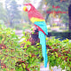 Garden Decoration Simulation Parrot Miniature Sculpture