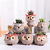 Mini Owl Flowerpot Plant Flower Pot